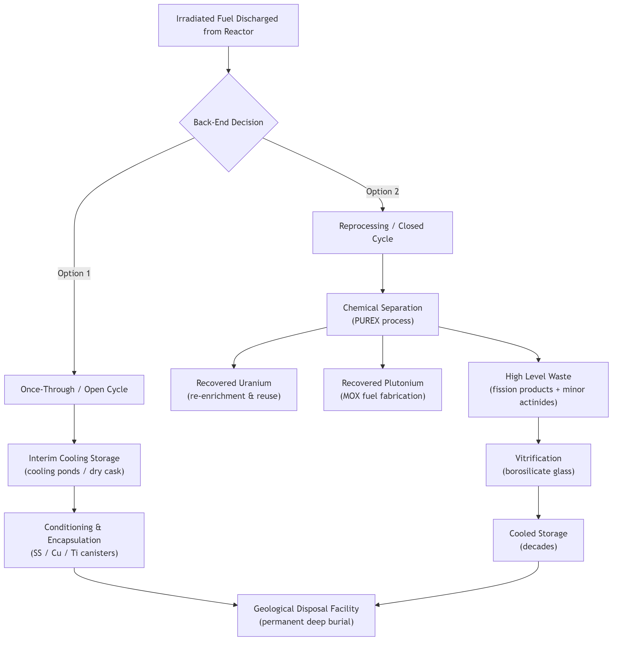Reprocessing vs Once-Through Strategies